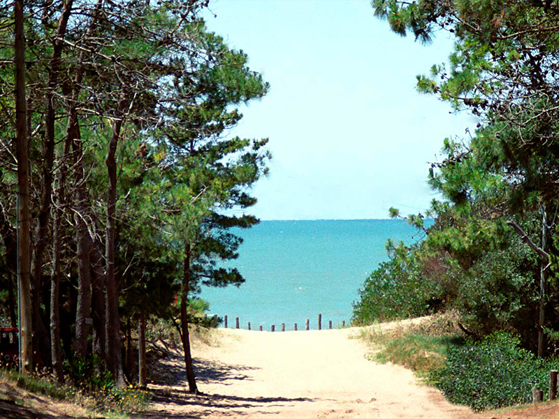 villa-gesell-1